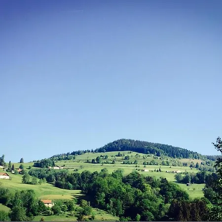 Silver Trees - Glamping