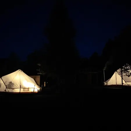 Silver Trees - Glamping