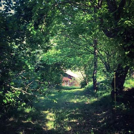 Silver Trees - Glamping Luxury tent Fresse-sur-Moselle