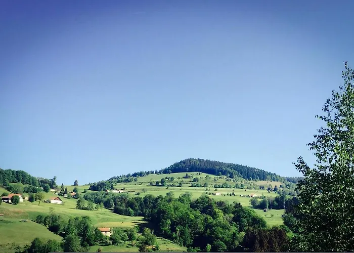 Silver Trees - Glamping