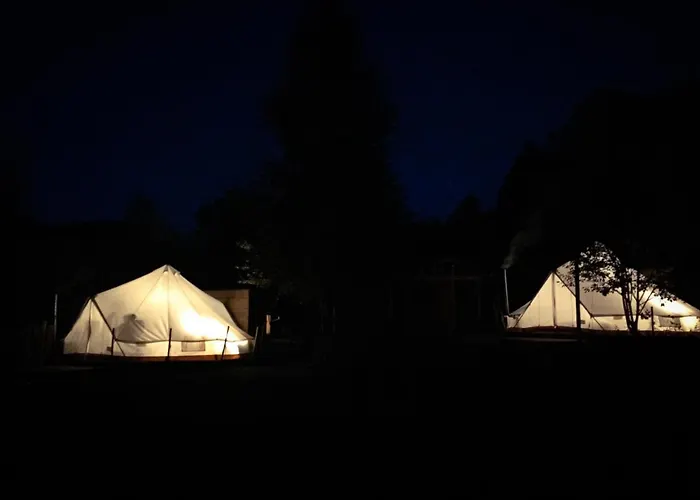 Silver Trees - Glamping