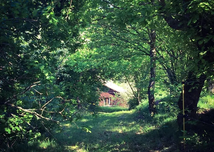 Silver Trees - Glamping 豪华帐篷 Fresse-sur-Moselle